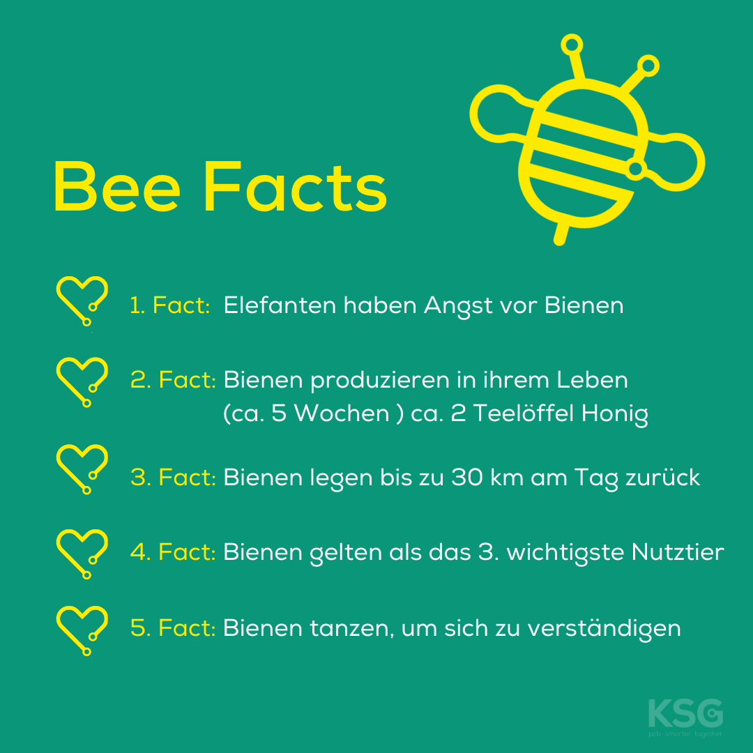 Bee Facts