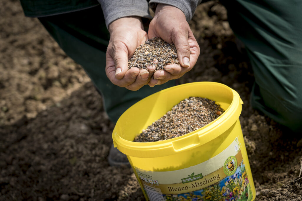 Seeds for the bee meadow